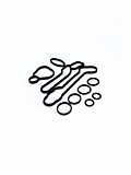 Р/К Уплотнитель патрубка теплообмен 55354071 KIT